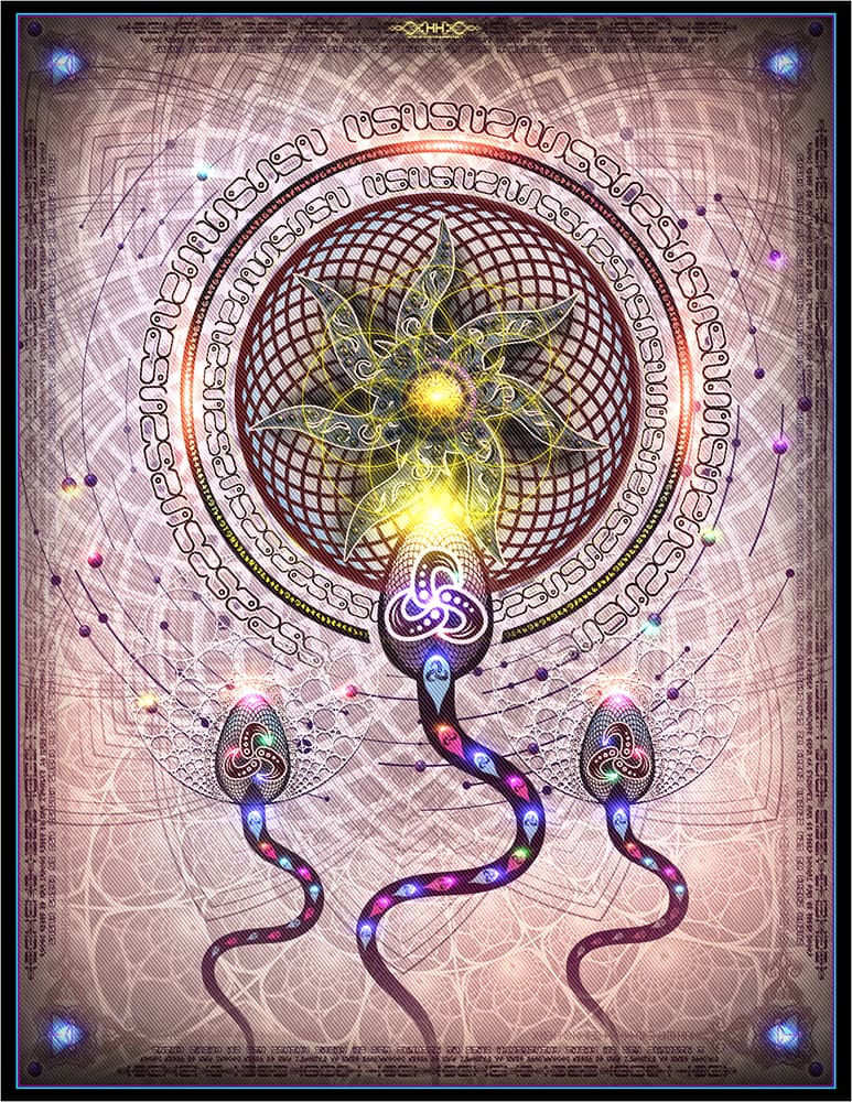 Immaculate Conception