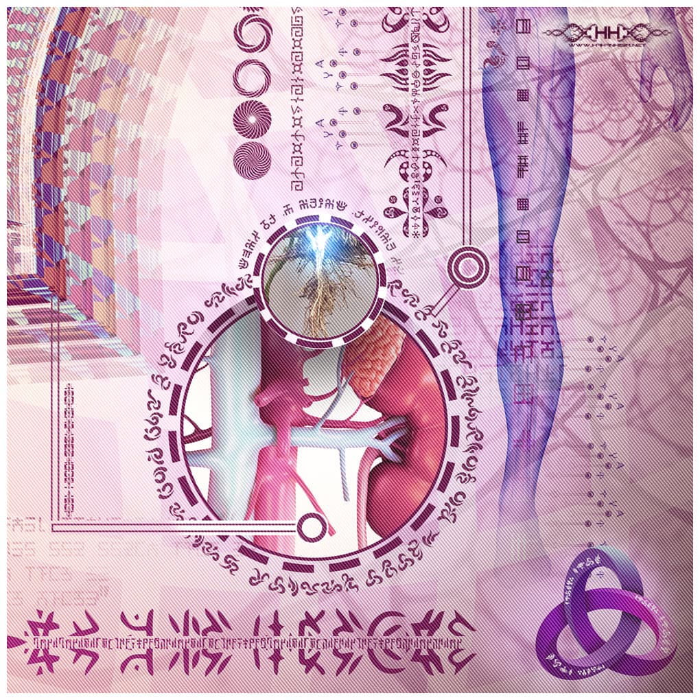 Bio-Energetic Vortexes No.1 — Root (Muladhara Chakra) detail 18