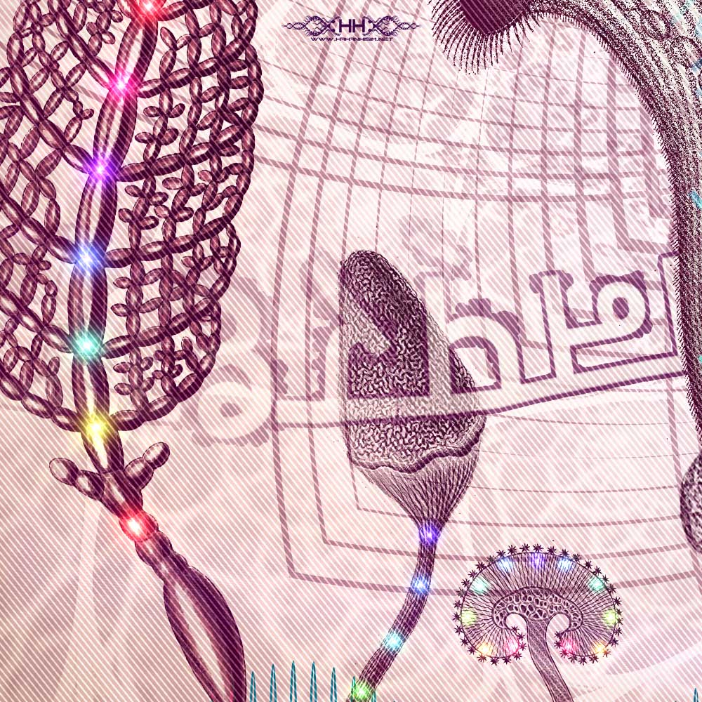 Linguistic Mystic detail 7