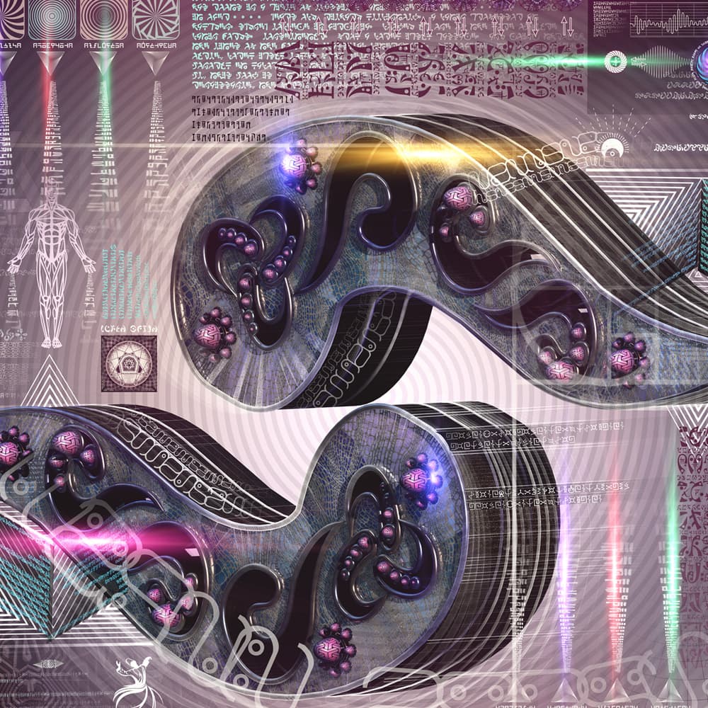 Reversible Ratio detail 7