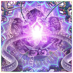 Spirit - Details 14.jpg