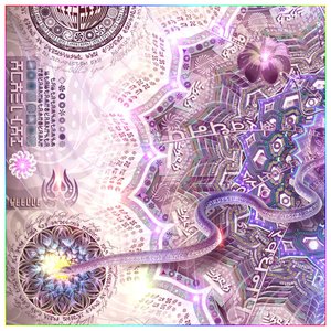 Spirit - Details 19.jpg